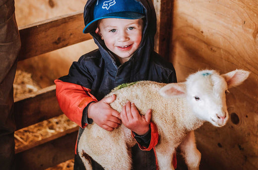 A boy holding a lamb.