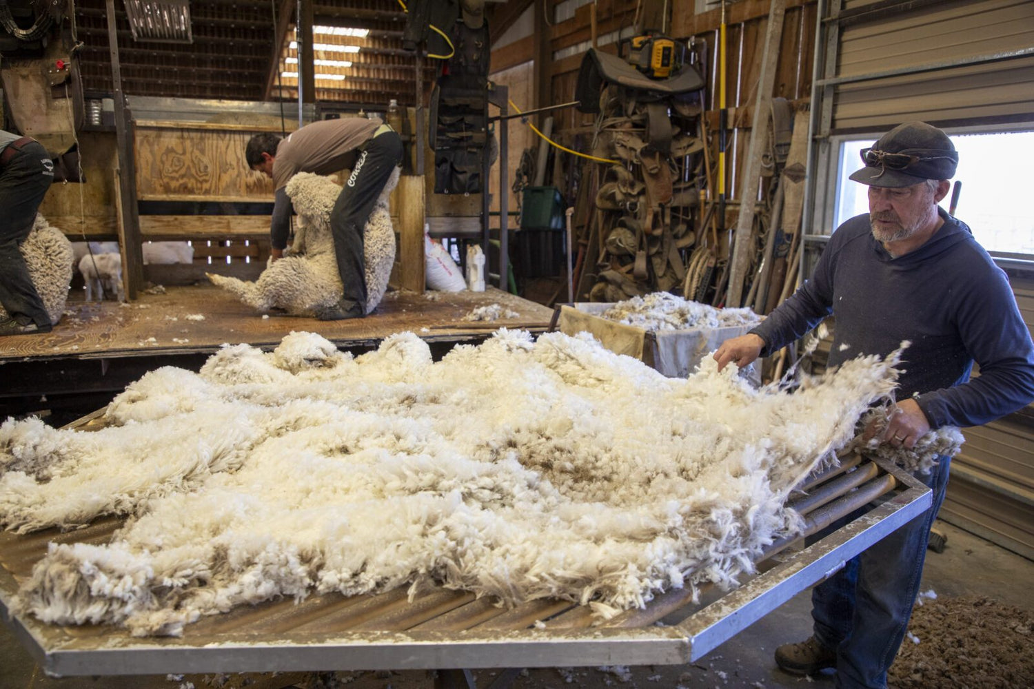 Dillon-area family brings local wool to U.S. made clothing