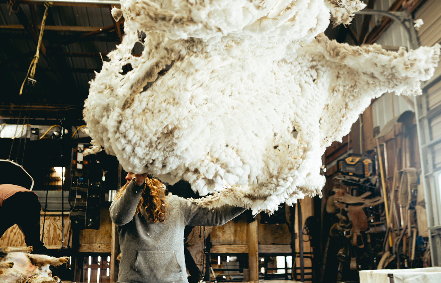 Merino Wool 101