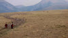 A herd of sheep and ranchers in Montana.
